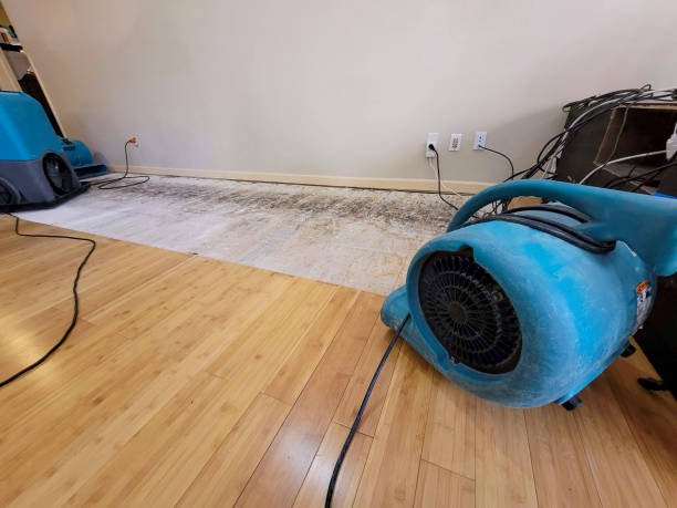Professional Structural Drying technician working in Carlisle, KY